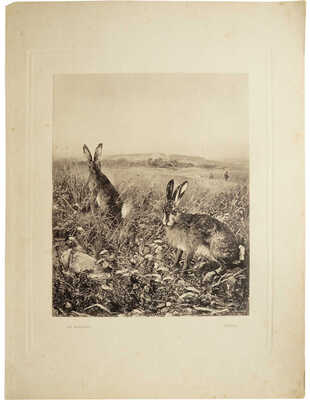 Неизвестный художник (Матушка И.). Зайцы 